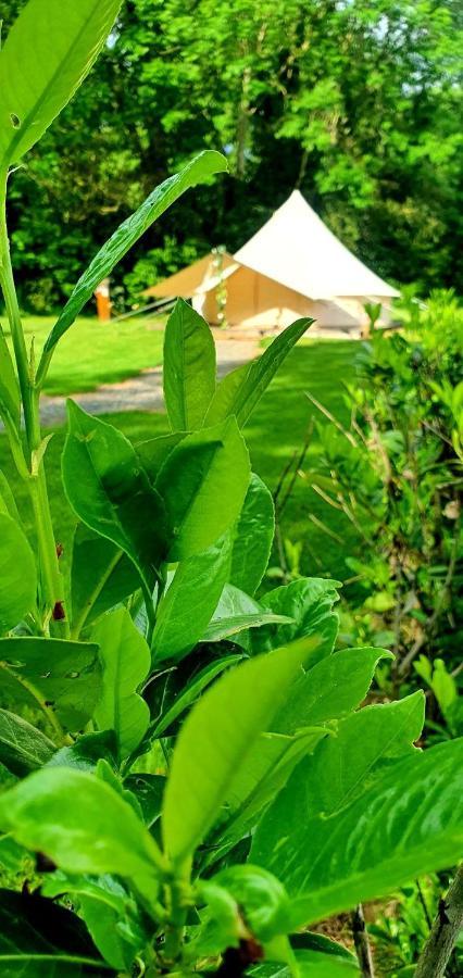 Bell Tent Village Nottingham Exteriör bild